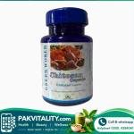 Chitosan Capsule Price In Pakistan
