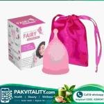 Menstrual Cup For Women Price in Pakistan